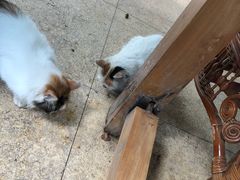 -龙达温泉生态城