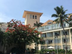 -三亚亚龙湾金棕榈度假酒店