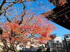 -医王山·飞騨国分寺