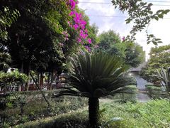 -周老三跷脚牛肉·全牛火锅(非遗传承店)