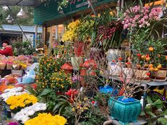 -曲阳花鸟市场(曲阳路店)