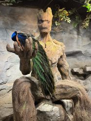 -Zoolung Zoolung动物主题公园(海信广场店)