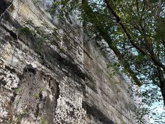 -林寨古村