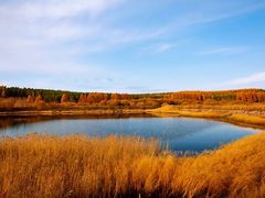 -塞罕坝国家级自然保护区