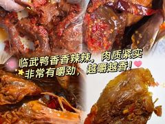 -郴州特产舜华临武鸭(郴州西站店)