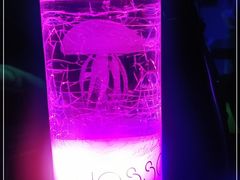 -MOSSO音乐酒吧·Live House(南京西路店)