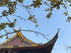 -西园寺素食(西园弄戒幢律寺店)
