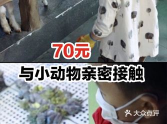 70元与小动物亲密接触