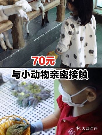 70元与小动物亲密接触