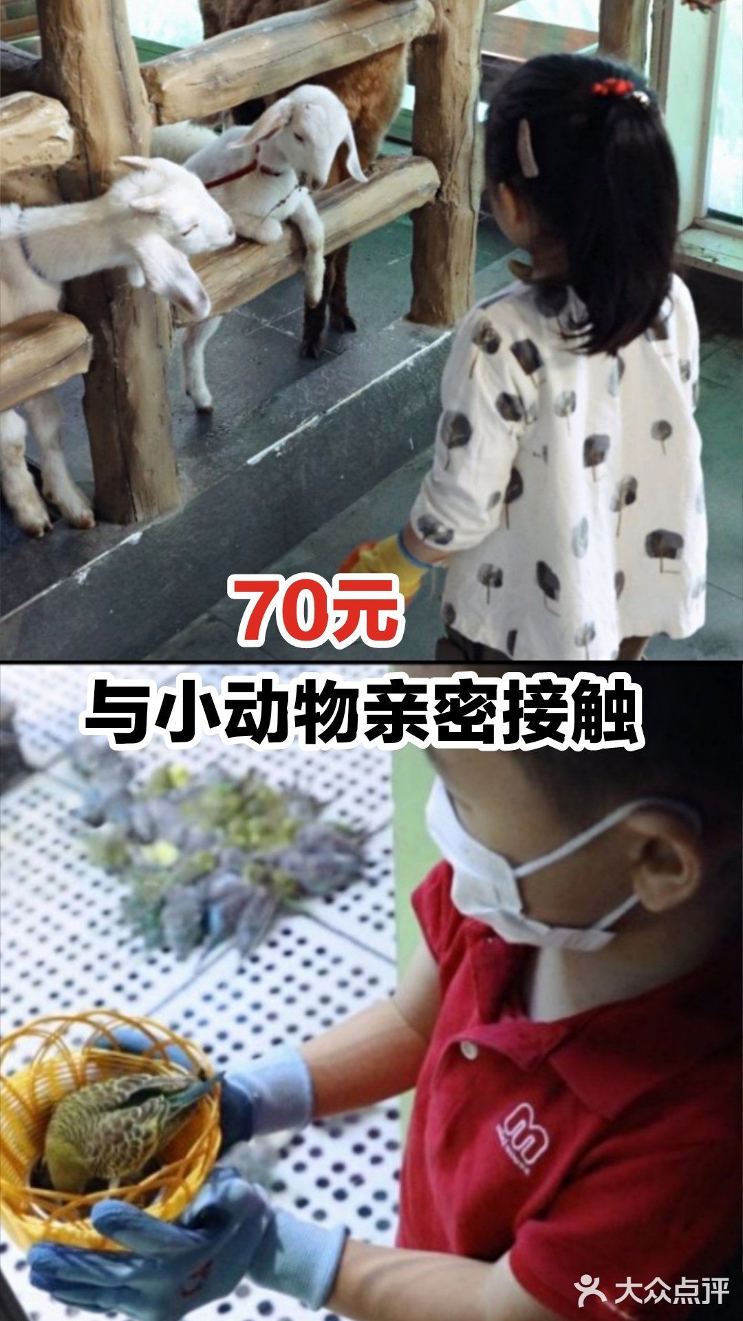 70元与小动物亲密接触
