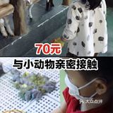 70元与小动物亲密接触