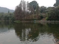 -广东外语外贸大学(白云山校区)