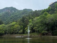 -龙湾潭国家森林公园