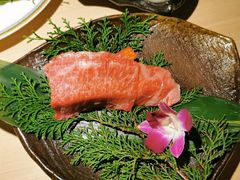 神戸牛菲力牛排-神户牛焼肉専門店 牛一(道顿堀店)