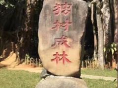 -瑞丽独树成林风景区