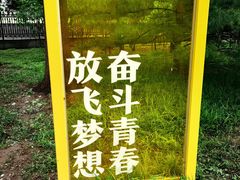 -玲珑塔公园