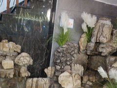 -达旺·鸡毛店(巴南万达店)