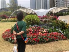 -海心沙亚运公园