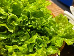 -柿子树炭烤羊腿(金台路店)