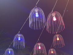 -喷泉广场餐厅·宵夜·海鲜烧烤大排档(长隆企鹅酒店)