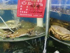 -叶存利海鲜大馅饺子(东戴河止锚湾店)