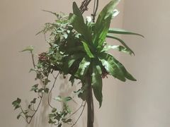 -翁暖茶馆(滨江东总店)