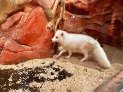 -Zoolung Zoolung动物主题公园(海信广场店)