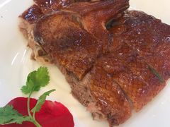 -椿记烧鹅(叠彩店)