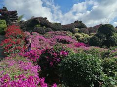 -东南花都花博园
