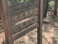 -火炉山森林公园