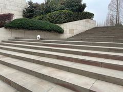 -金沙遗址博物馆