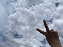 -红山国家森林公园