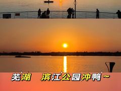 -晓马鸭店(新芜路店)