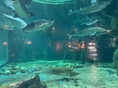 -华夏文旅海洋公园