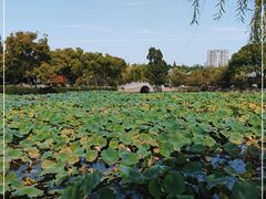 -无锡蠡湖国家湿地公园-蠡园