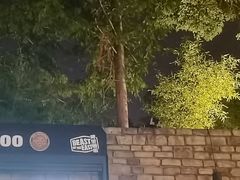 -Big Bamboo 大竹子体育主题餐厅(虹梅路店)