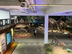 -自贡恐龙博物馆