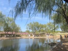 -石家庄市植物园