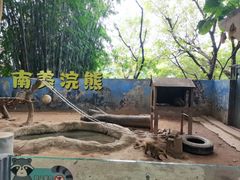 -深圳野生动物园