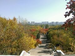 -乌素图国家森林公园