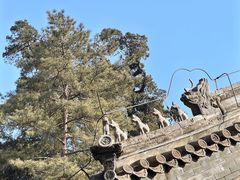 -潭柘寺景区