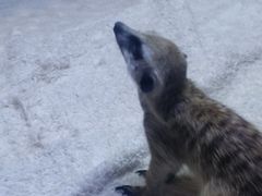 -郑州银基冰雪世界