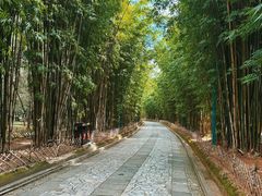 -蝴蝶泉公园
