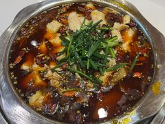 -乡土特色.冷锅鱼.牦牛肉汤锅