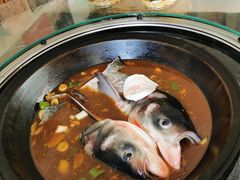 水库胖头鱼-姥家大锅台水库渔家