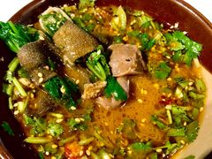 香菜毛肚-小郡肝火锅串串香(万达总店)