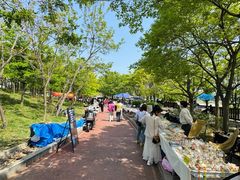 -星海湾跨海大桥