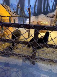 -酷嗒动物文化乐园(cutezoo西溪乐天城店)