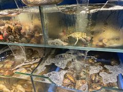 -海味当家·蒸锅海鲜(中山广场创始店)