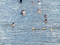 -青岛第一海水浴场